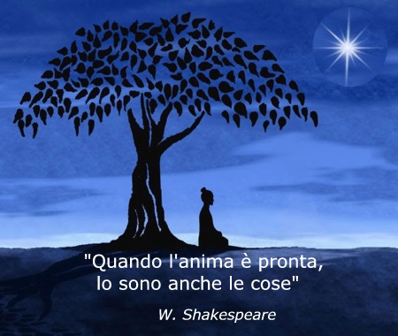 OMEOPATIA - OMOTOSSICOLOGIA - FLORITERAPIA - FITOGEMMOTERAPIA - LOW DOSE MEDICINE